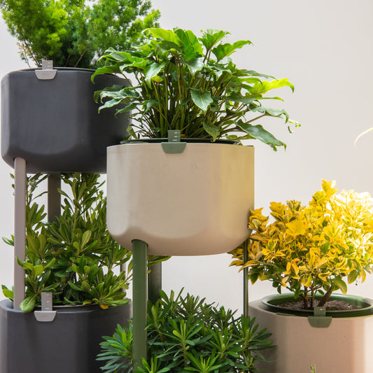 stackable self-watering planters in the home