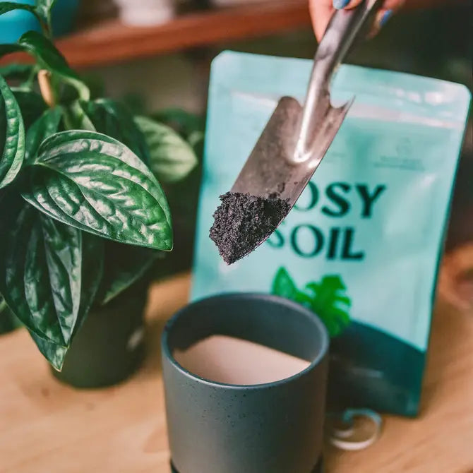 Indoor Potting Mix | 8 Quart