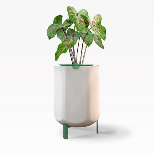 Larger, Sage Green Self-Watering Planter