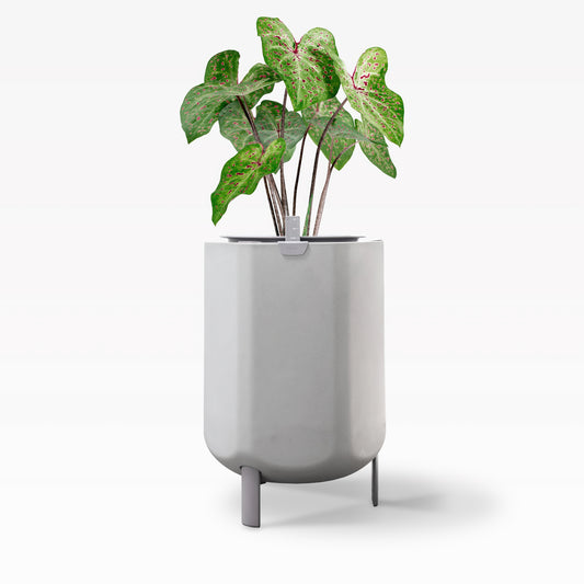 Larger, Stone White Self-Watering Planter