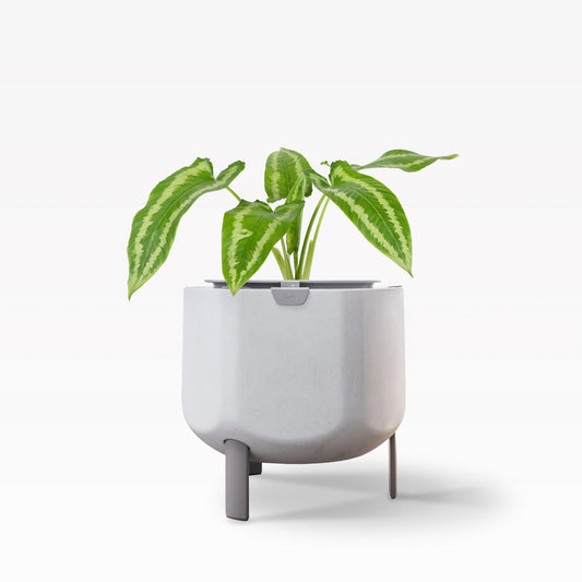 Smaller, Stone White Self-Watering Planter