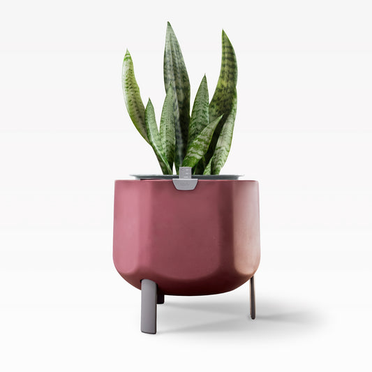 Smaller, Earthy Terracotta Self-Watering Planter