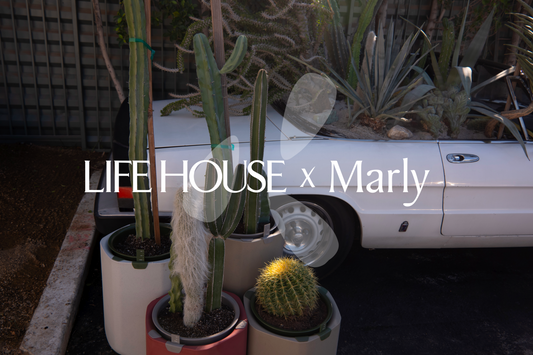life house hotels and marly crossover image