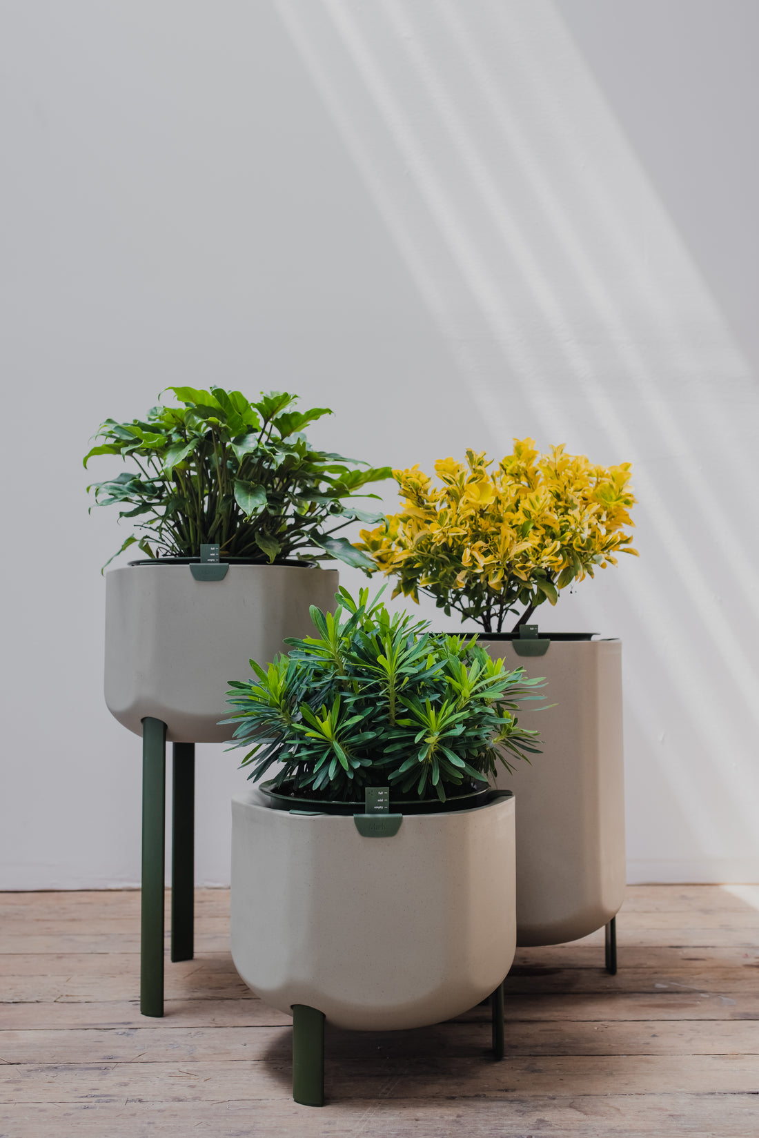 Three stylish indoor gardening planters with fresh looking green plants inside