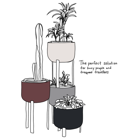 Understanding Capillary Action: Nature's Watering System for Plants