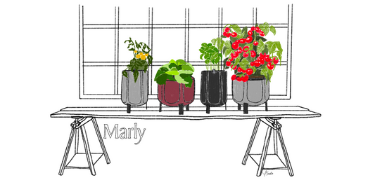 illustration of marly planters in the home growing plants and vegetables