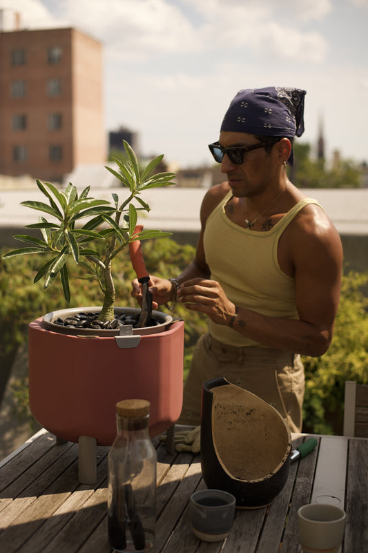 What Gardening Means To Me ft. Stylist & Creative Director, Moses Moreno