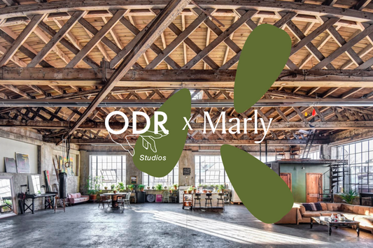 ODR Studios x Marly