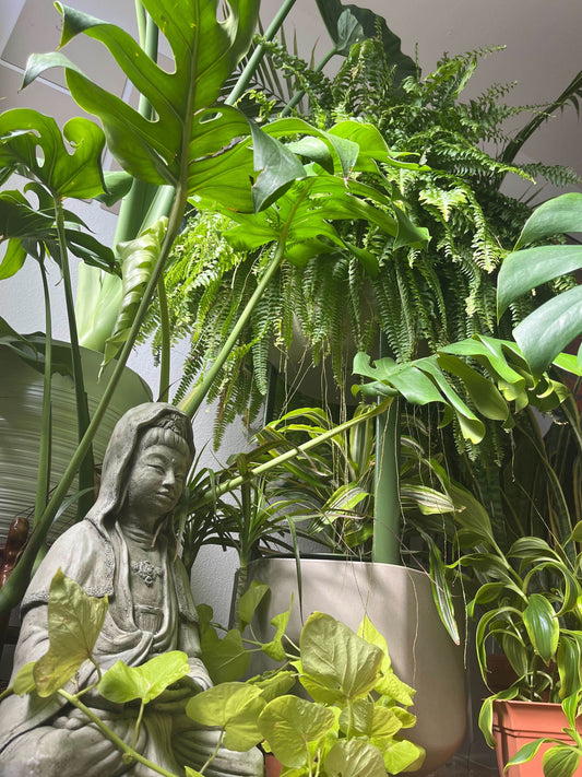 Marly surrounded by green foliage in the home