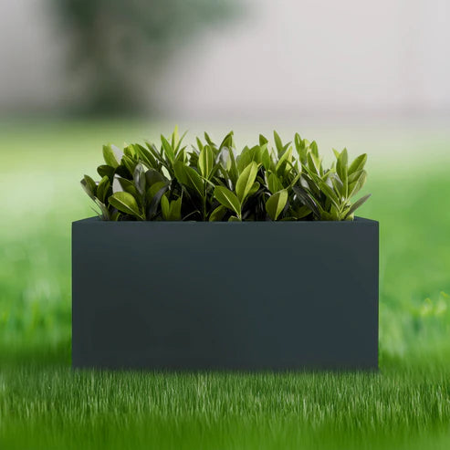 Planter Box