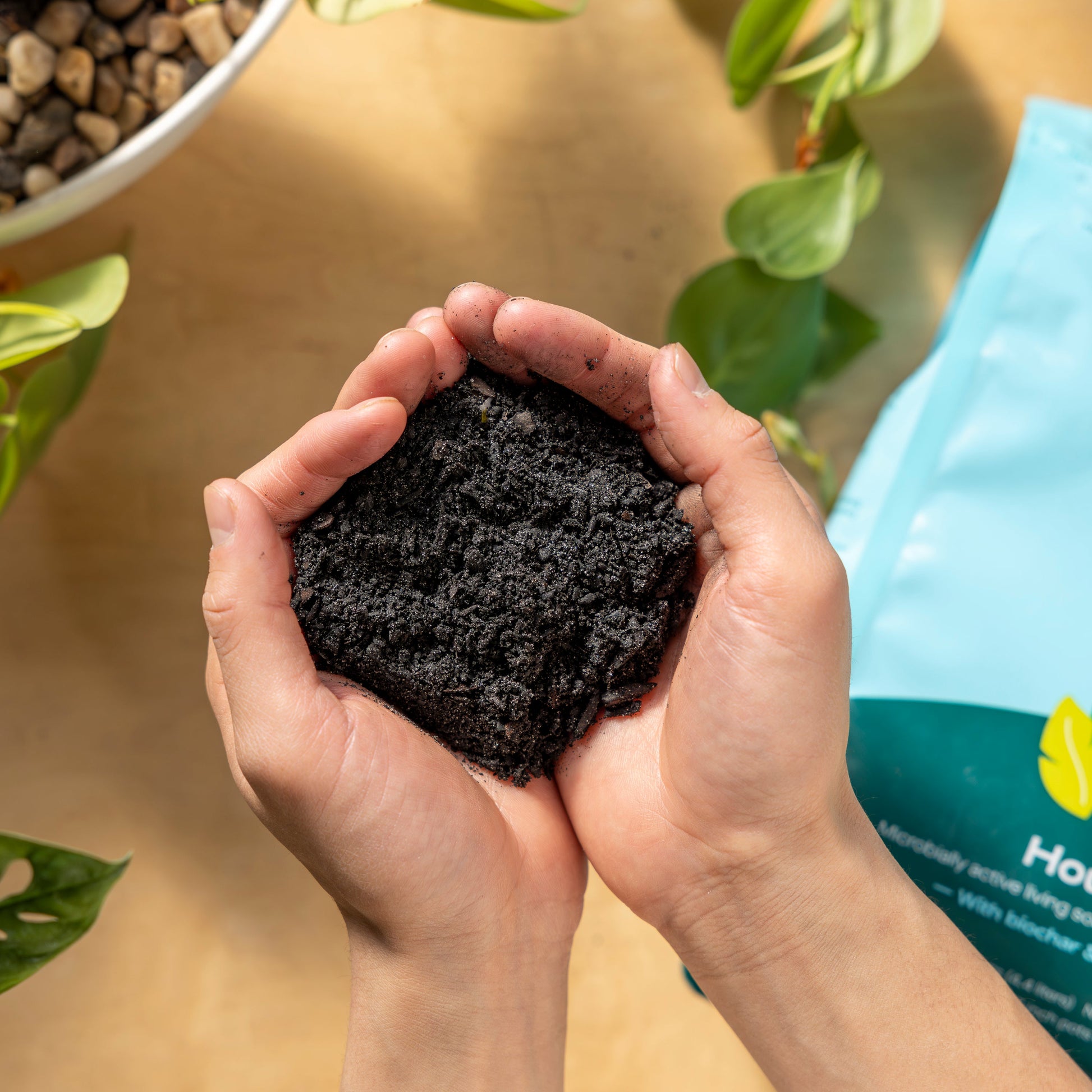 indoor houseplant potting mix Indoor Potting Mix
