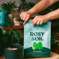 Indoor Potting Mix | 8 Quart