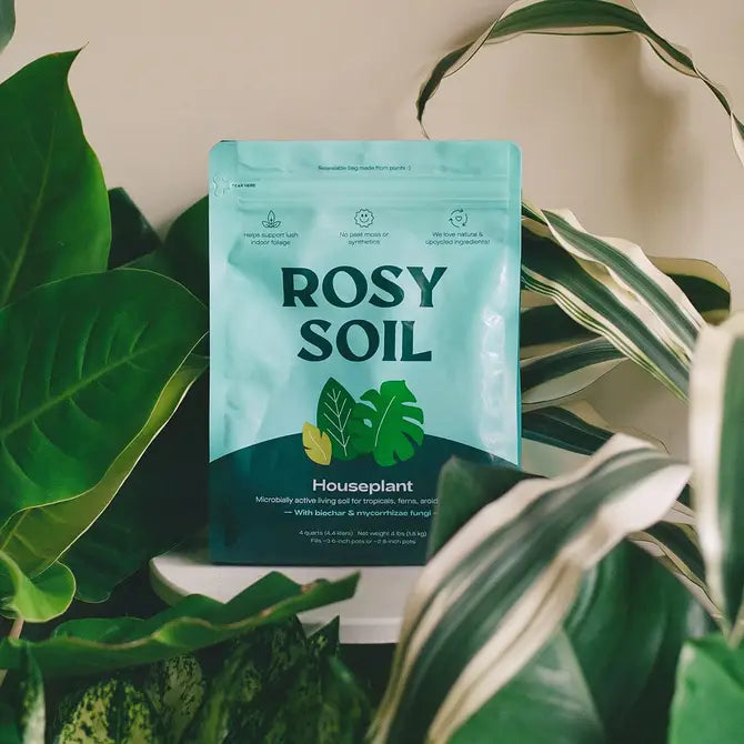 Indoor Potting Mix | 8 Quart
