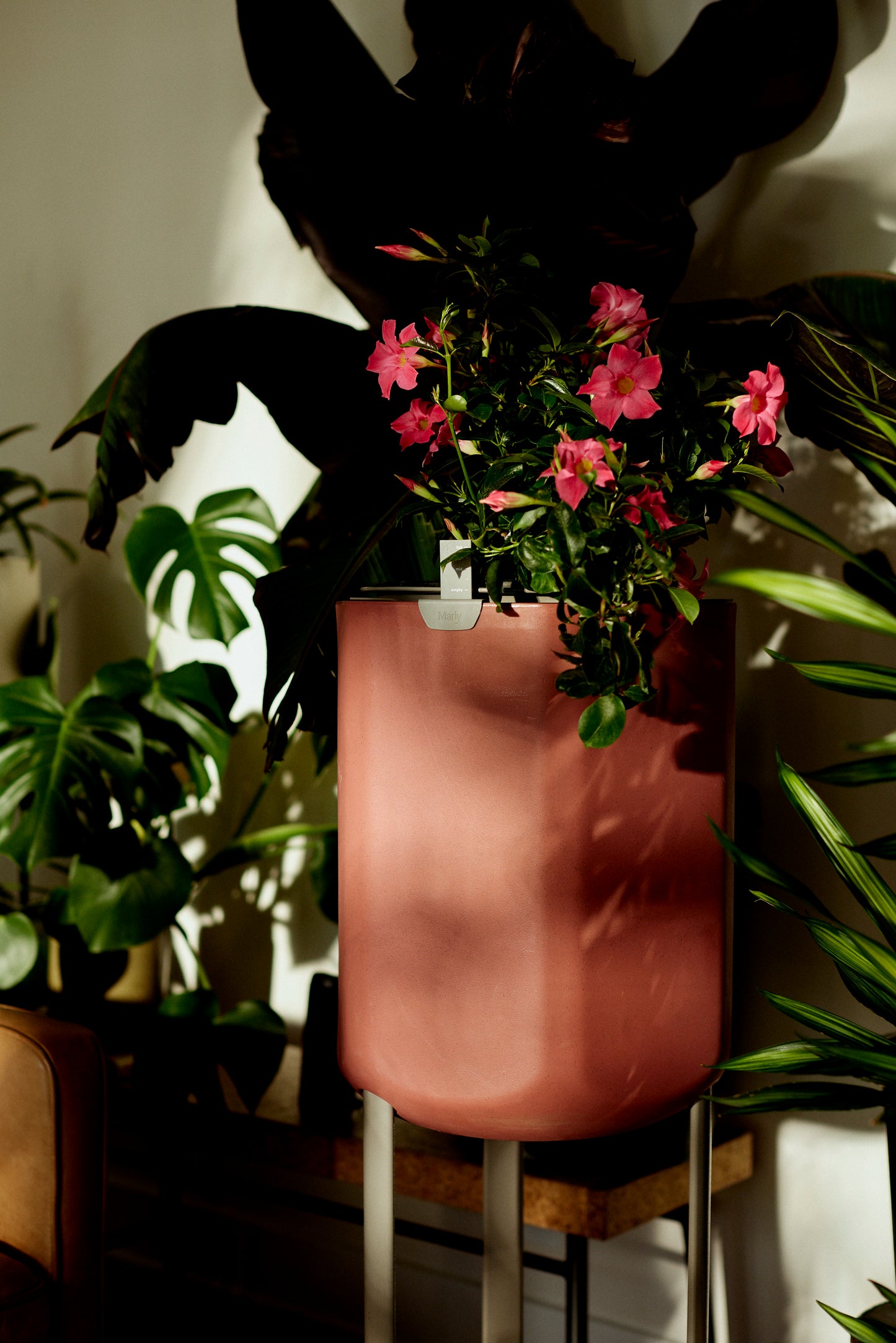 Larger, Earthy Terracotta Self-Watering Planter