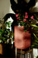 Larger, Earthy Terracotta Self-Watering Planter