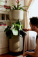 Smaller, Sage Green Self-Watering Planter