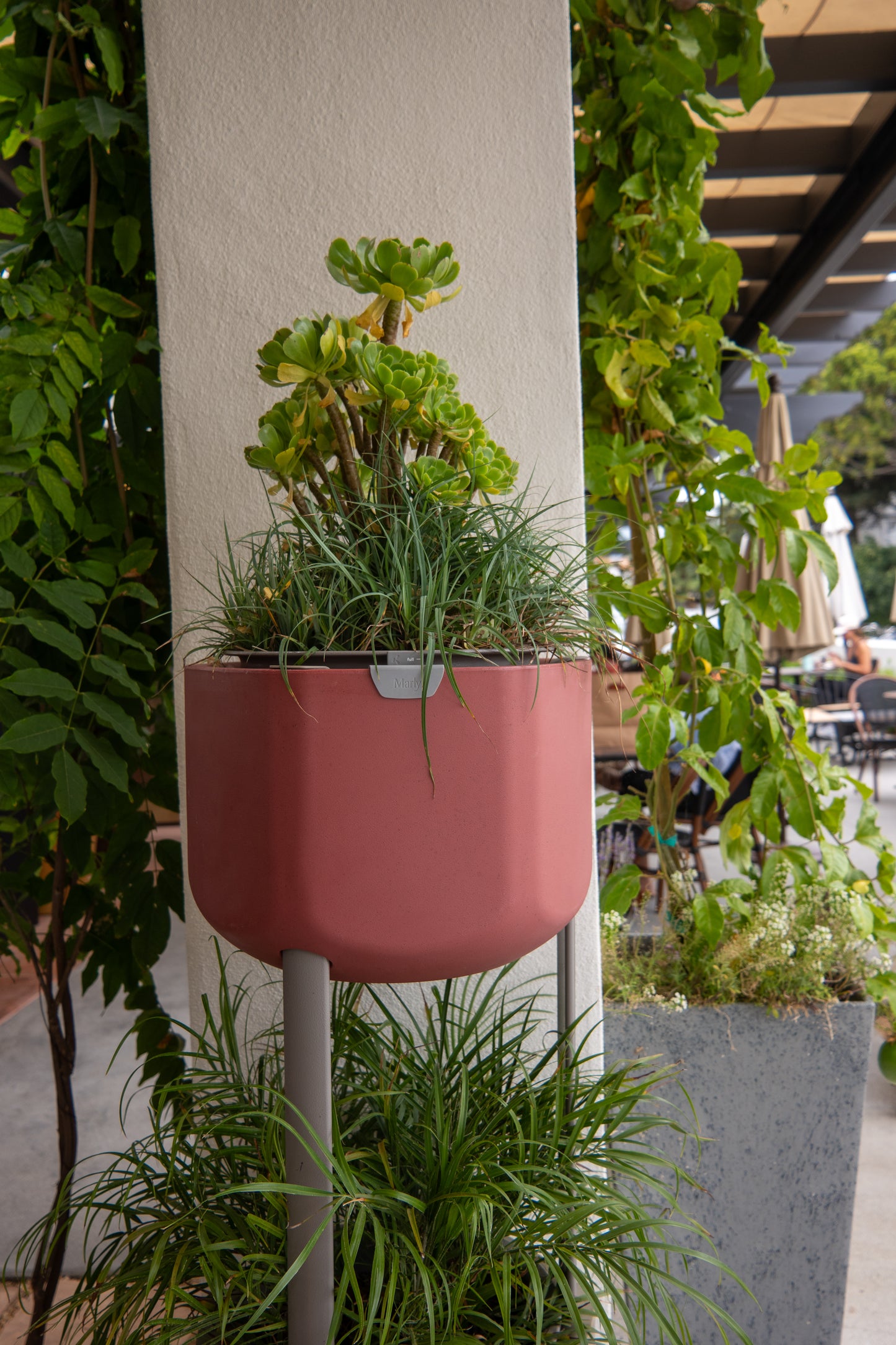Smaller, Earthy Terracotta Self-Watering Planter