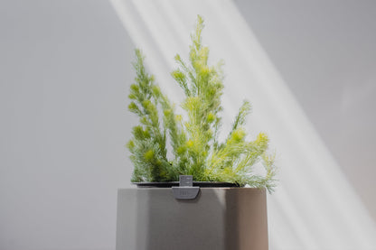 Small, Sage Green Self-Watering Planter