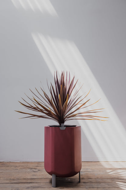Large, Earthy Terracotta Self-Watering Planter