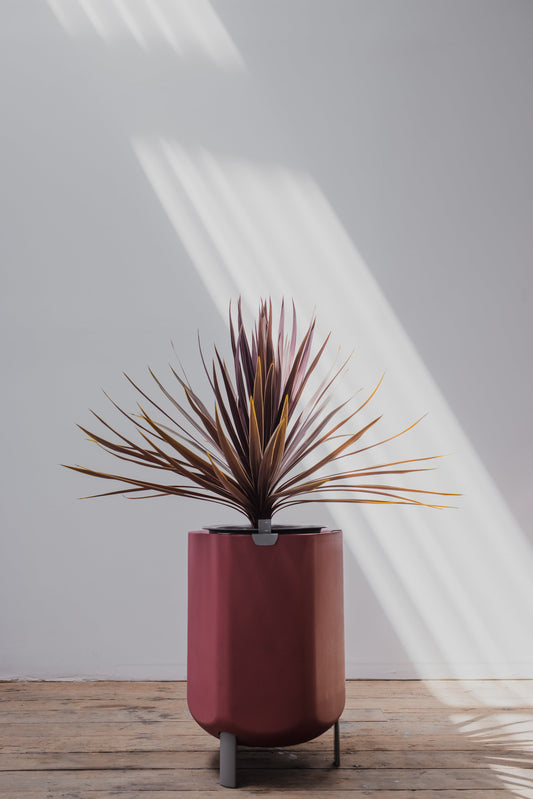 Large, Earthy Terracotta Self-Watering Planter