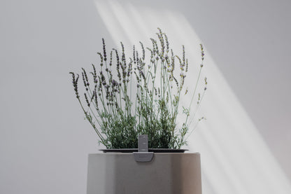 Large, Sage Green Self-Watering Planter
