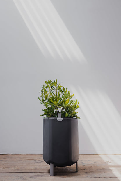 Large, Deep Indigo Self-Watering Planter