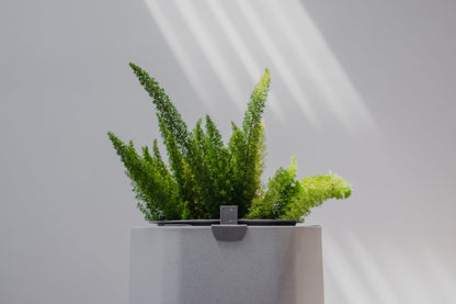 Large, Stone White Self-Watering Planter