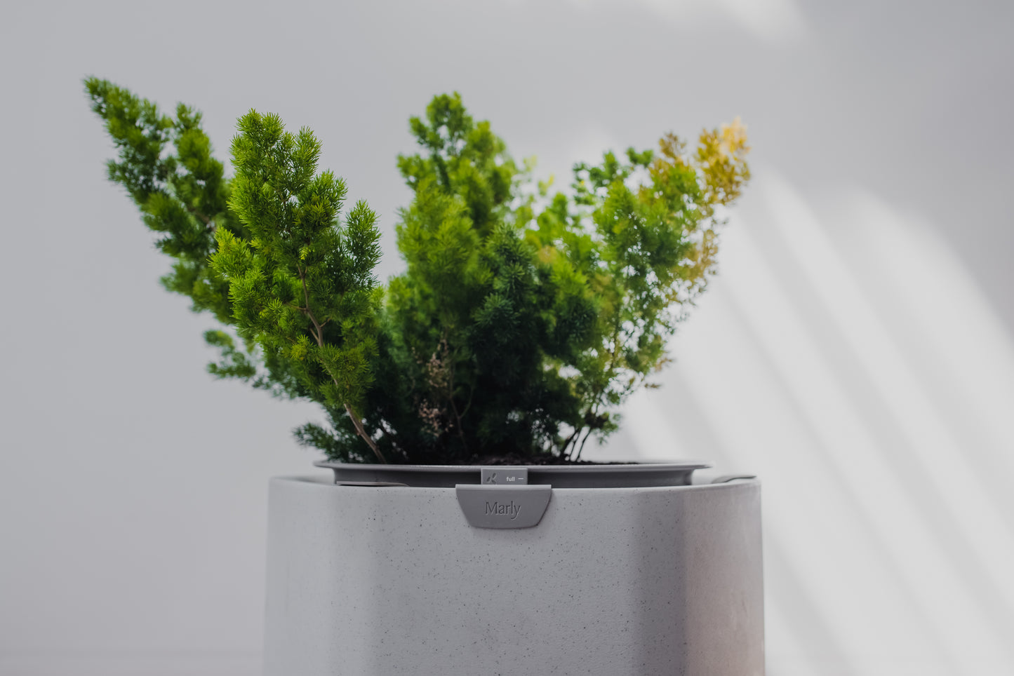 The Marly Self Watering Planter