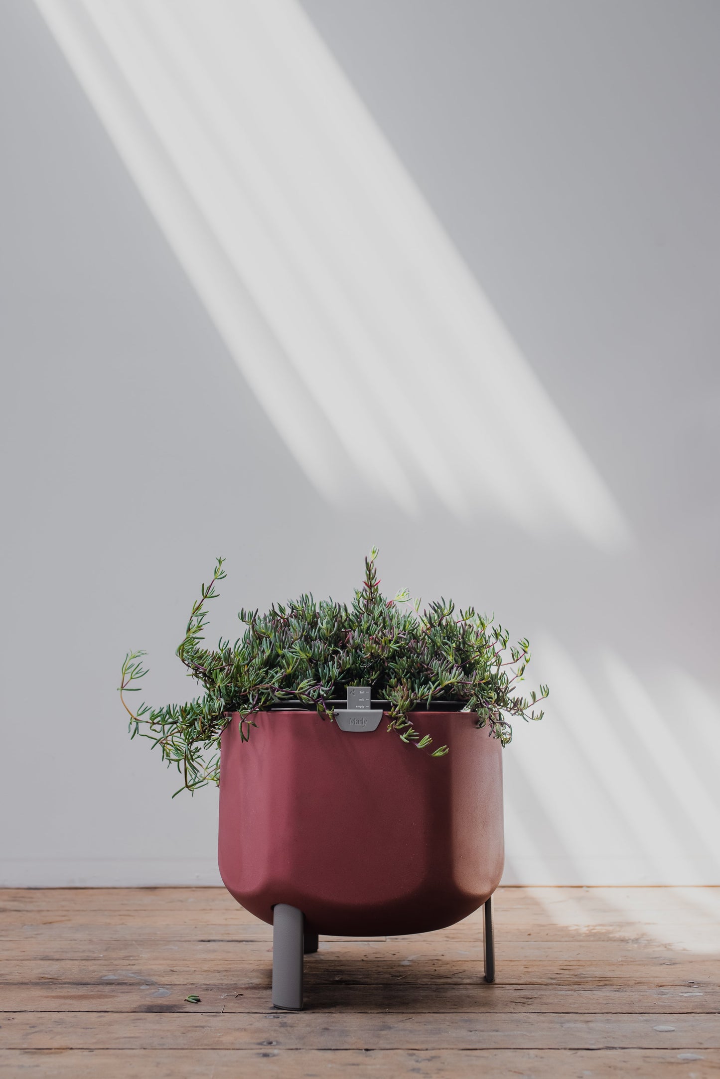 Small, Earthy Terracotta Self-Watering Planter