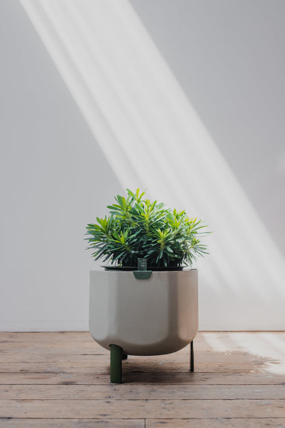 Small, Sage Green Self-Watering Planter
