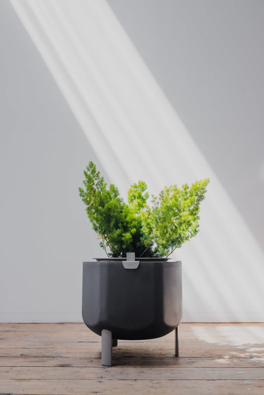 Small, Deep Indigo Self-Watering Planter