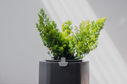 Small, Deep Indigo Self-Watering Planter