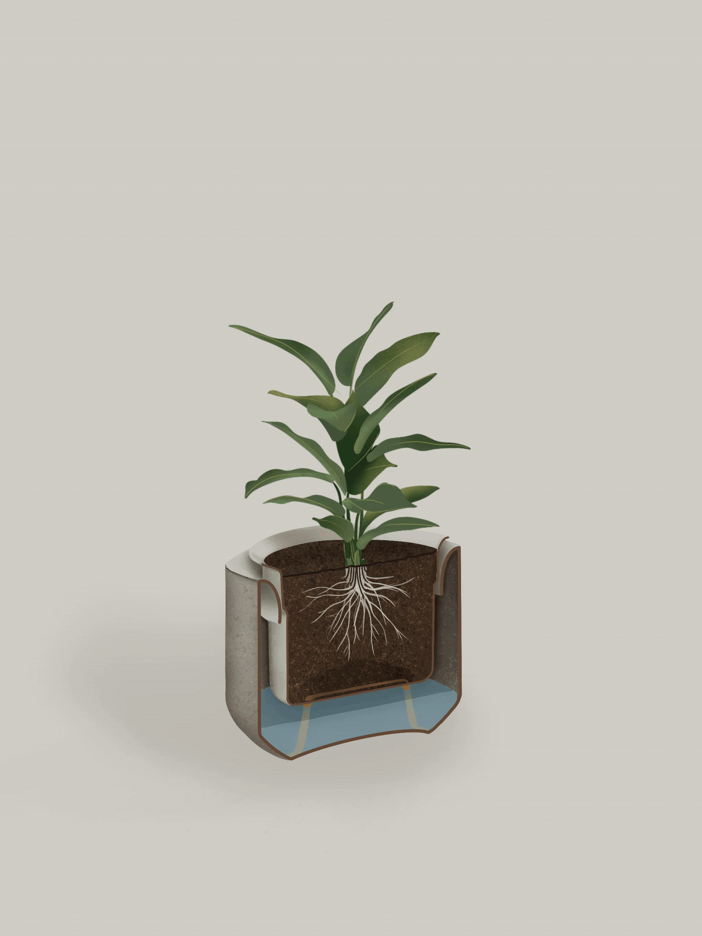 Marly Garden Self Watering Plant Pots for Effortless Plant Care