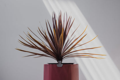 Large, Earthy Terracotta Self-Watering Planter
