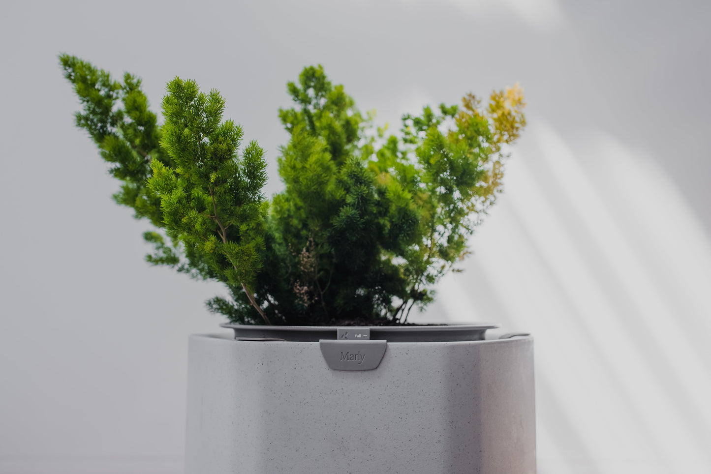 Small, Stone White Self-Watering Planter