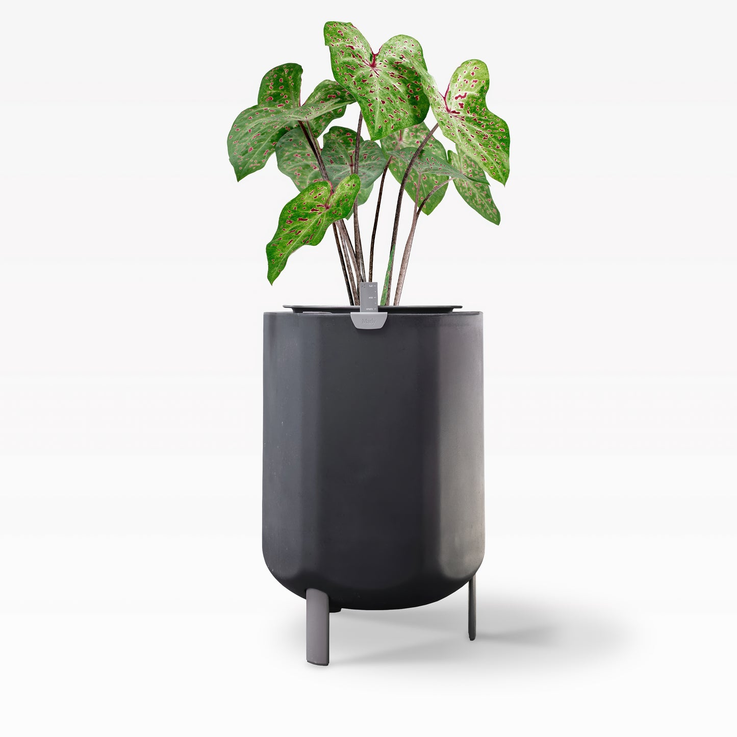 Larger, Deep Indigo Self-Watering Planter