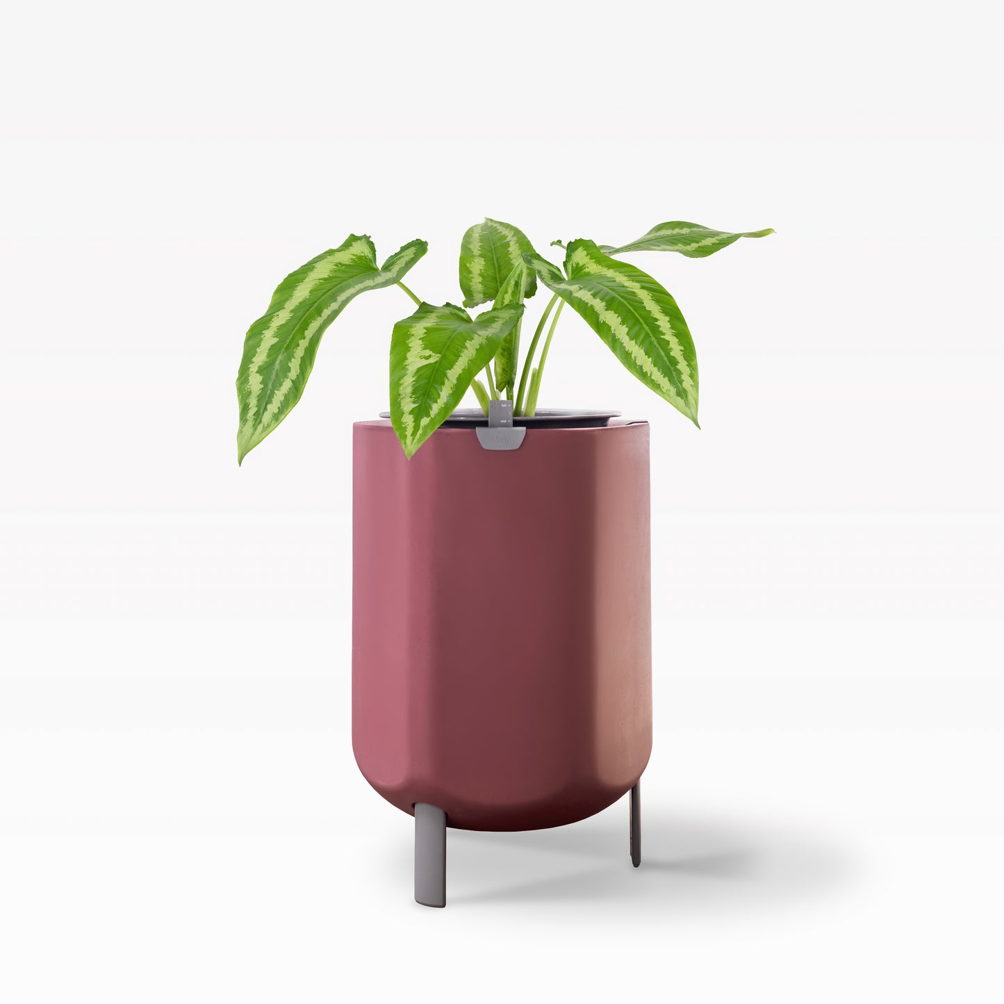 Larger, Earthy Terracotta Self-Watering Planter