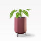 Larger, Earthy Terracotta Self-Watering Planter