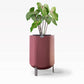 Larger, Earthy Terracotta Self-Watering Planter