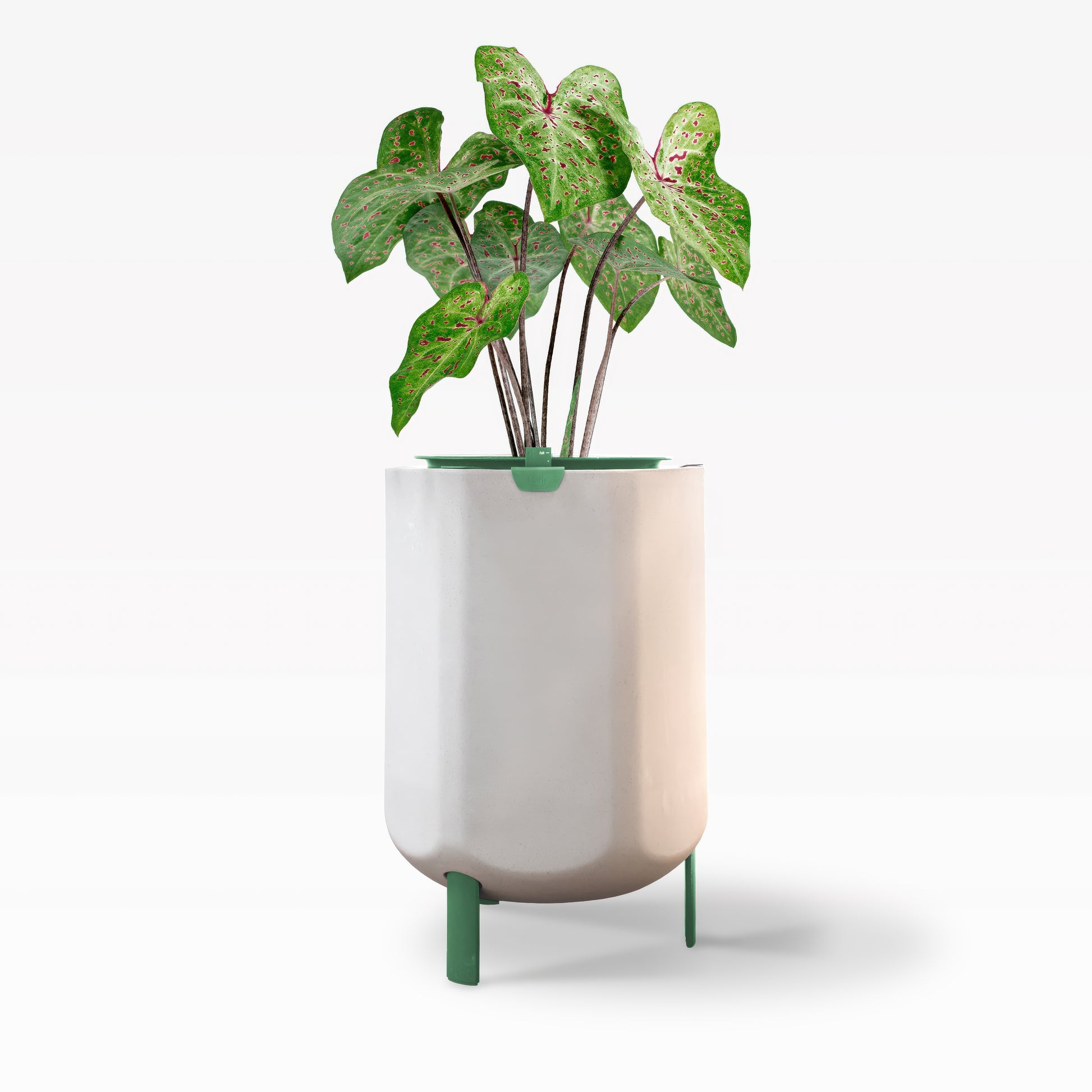 buy self watering plants Larger, Sage Green Self-Watering Planter – Marly Garden