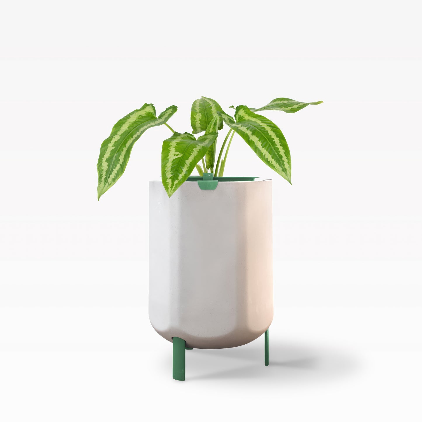 Larger, Sage Green Self-Watering Planter