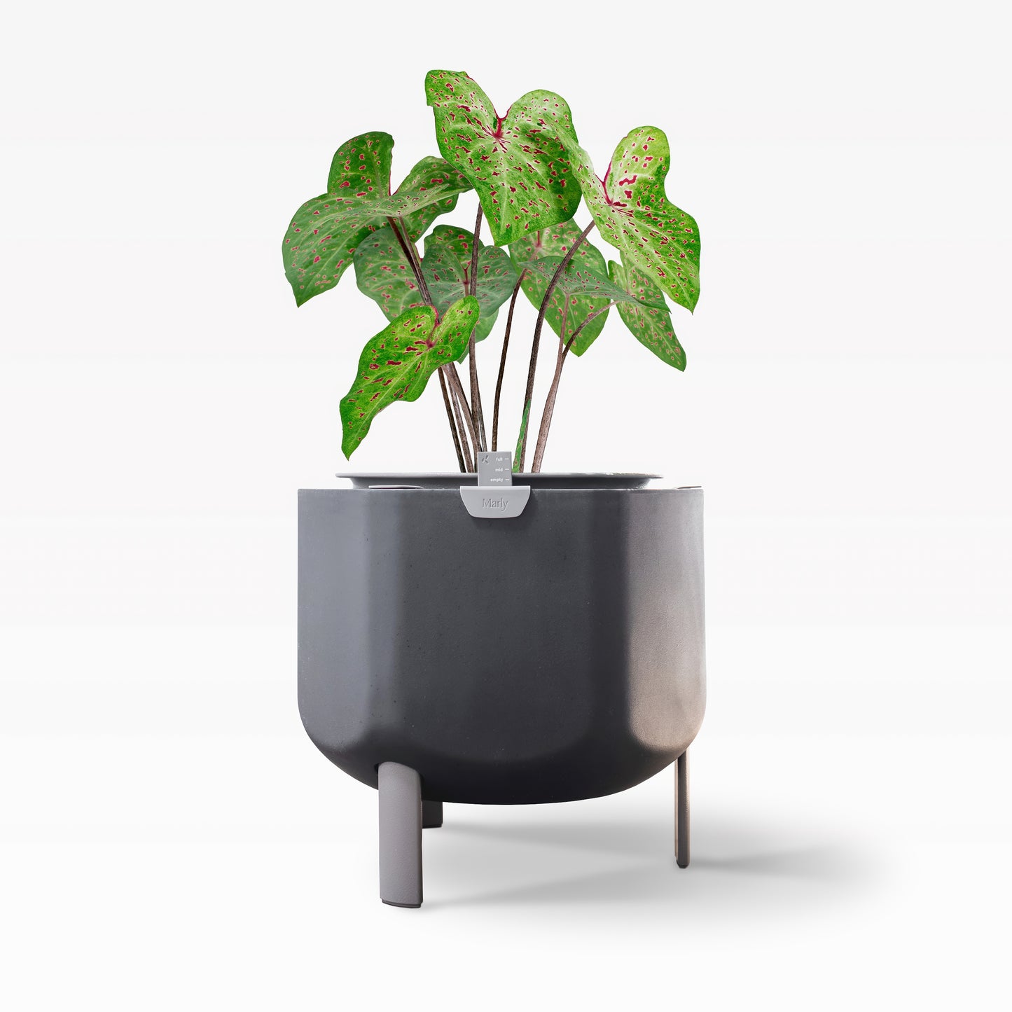 Smaller, Deep Indigo Self-Watering Planter