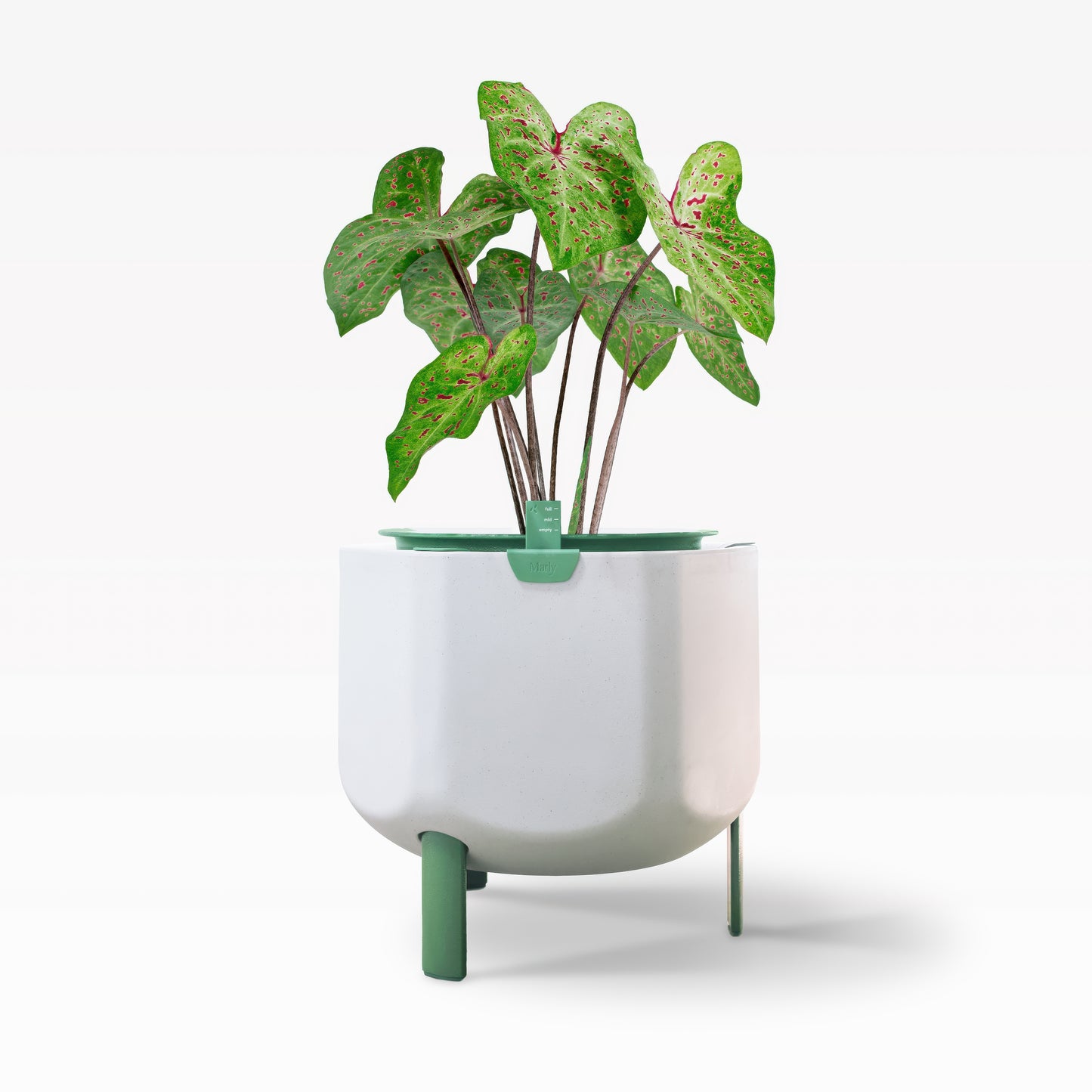 Smaller, Sage Green Self-Watering Planter