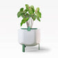 Smaller, Sage Green Self-Watering Planter