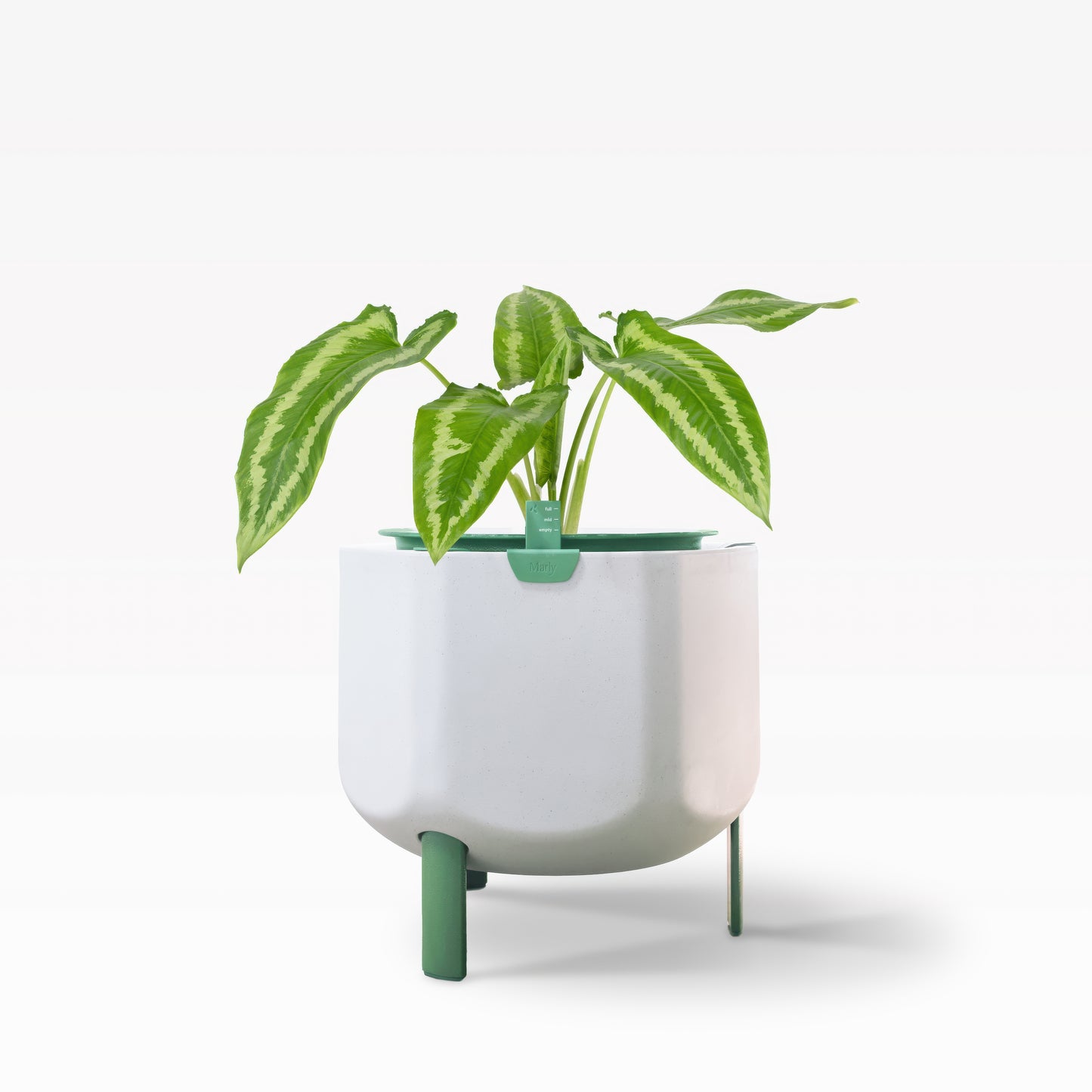 sage green indoor plant pot Smaller, Sage Green Self-Watering Planter – Marly Garden