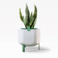 Smaller, Sage Green Self-Watering Planter