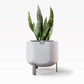 Small, Stone White Self-Watering Planter