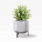 Small, Stone White Self-Watering Planter