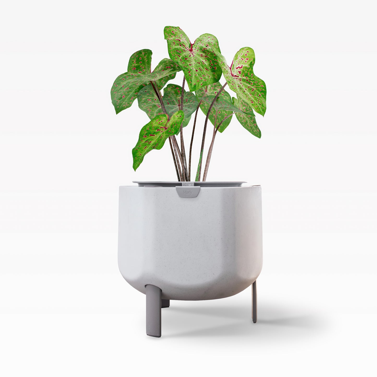 Small, Stone White Self-Watering Planter