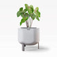 Small, Stone White Self-Watering Planter